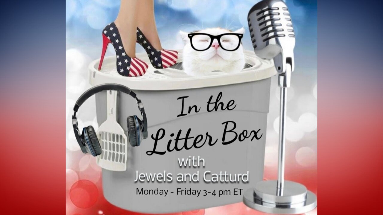 Political Scandals Abound In the Litter Box w/ Jewels & Catturd Ep