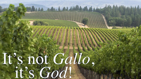 It's Not Gallo, It's God