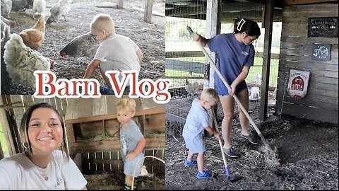 Barn Vlog - Chicken Treat Unboxing, Chicken Coop & Cow Hay