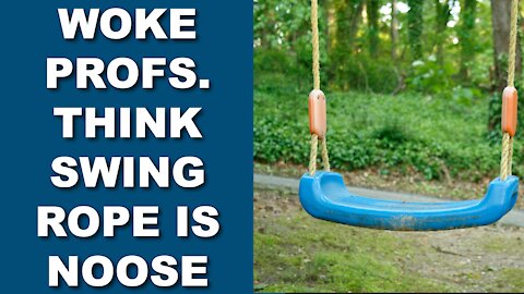 Woke Professors Mistake Swing Set Rope For A Noose