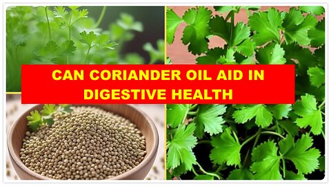 From Kitchen to Medicine Cabinet: How Coriander Oil Supports Overall Health