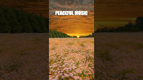 Peaceful and tranquility with calming music. #shorts #softmusic #music #calmmusic #relaxation