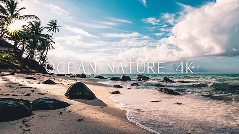 OCEAN NATURE 4K - Scenic Relaxation Film With Calming Music