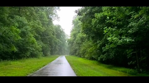 Meditation music - Forest rain.. Relaxing Music for Stress Relief, Calming, Sleep, Mental wellness