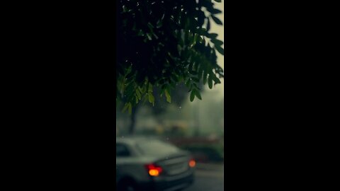 Rain Video