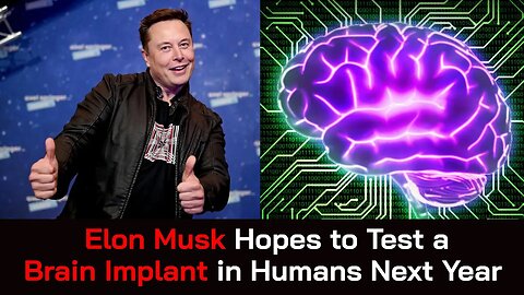 Elon Musk Hopes to Test a Brain Implant in Humans Next Year