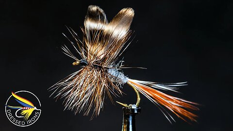 Tying the Adams - Dressed Irons