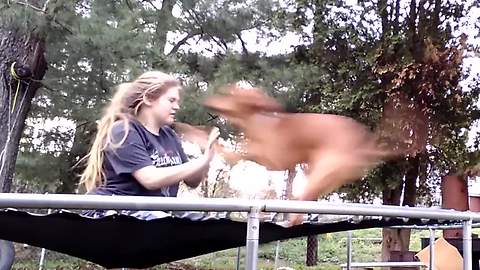 Trampoline Fun With The Best Friend