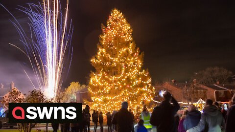 Christmas tree more than 50ft tall after couple plants it in their garden in 1978