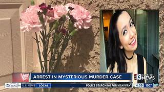 Arrest made in mysterious murder case