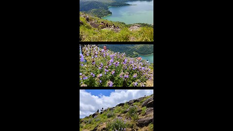 neela kurunji at kalyanathandu Idukki Kerala | Idukki dam view | view point| Kerala |