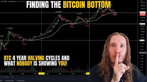 IS THE BOTTOM IN!? Bitcoin Technical Analysis of the 4 Year Halving Cycles