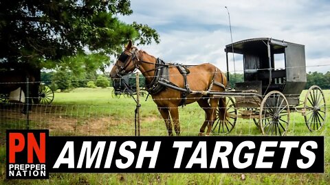 Are the Amish being TARGETED for PREPPING?