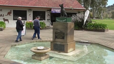 Dog on the Tucker Box, near Gundagai NSW