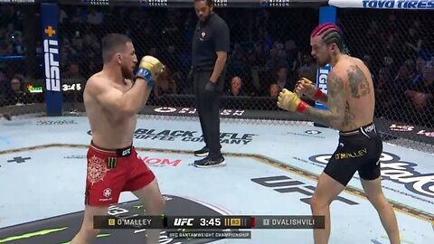 UFC 306 - Sean O’Malley vs. Merab Dvalishvili Full Fight Highlights HD