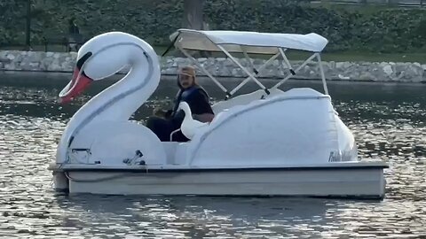 I took my duck to Swan Boats 🦢