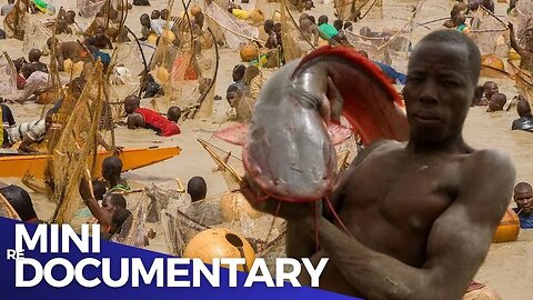 Argungu Festival: Africa's Largest Fishing Holiday