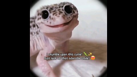 I stumble upon this cutie! 🦎✨ Just look at that adorable smile! 😍