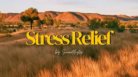 Release Stress | Peaceful Music | Calming Music | Deep Sleep Music | Ambience Music for Spa.