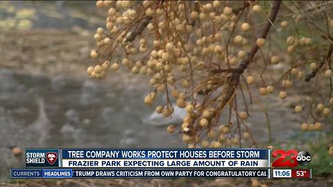 Tree company works to protect houses before the storm