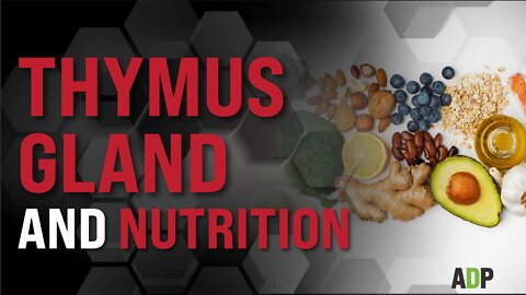 Thymus Gland And Nutrition