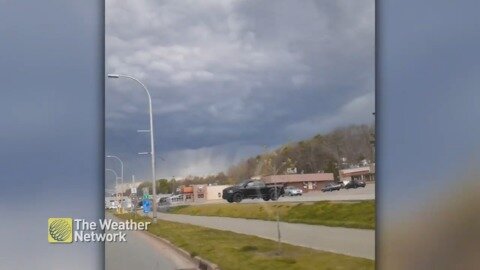 'Totally unusual for Nova Scotia,' as storm looms overhead