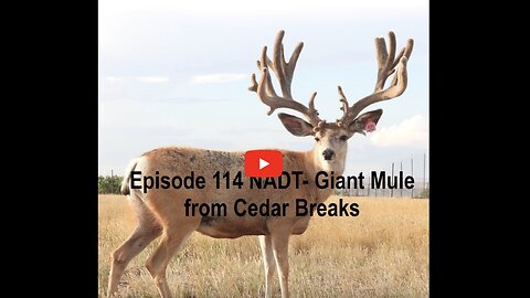 Episode 114 NADT- Giant Mule Deer from Cedar Breaks