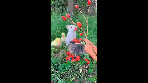 cute rabbit and friends