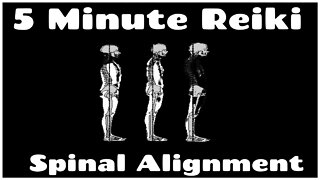 Reiki l Spinal Alignment l 5 Minute Session l Healing Hands Series