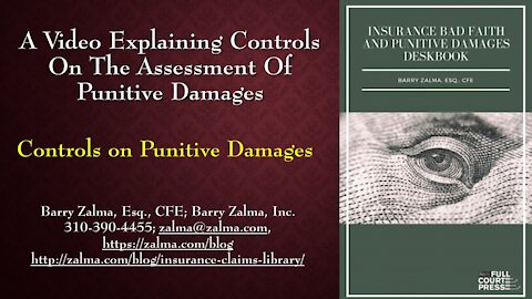 A Video Explaining the Controls on Punitive Damages