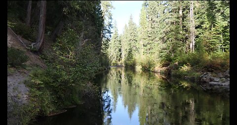 NASA Teams with Forest Service to Tally America_s Oldest Trees