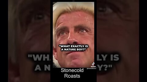 Stonecold Steve Austin roasts the WWE roster. #wwe #wrestling