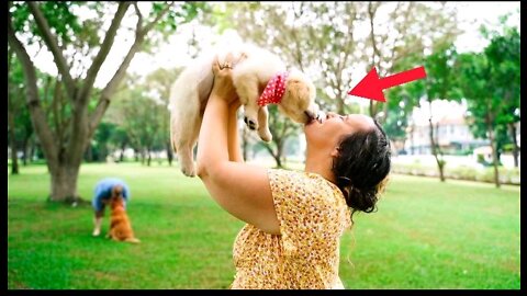 Video of a Puppy Licking a Woman