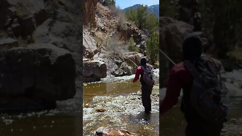 TROUT FISHING A DESERT??? #shorts #fishing