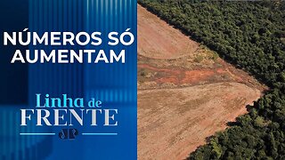 Alertas de desmatamento no Cerrado batem novo recorde | LINHA DE FRENTE