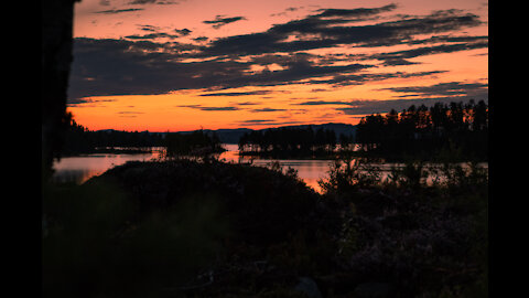 White moose and fly fishing Klarälven Sweden!