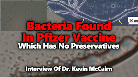 Bacteria Grows In Pfizer Vaccine Which Doesn't Have Preservative? Dr. Kevin McCairn Joins To Discuss