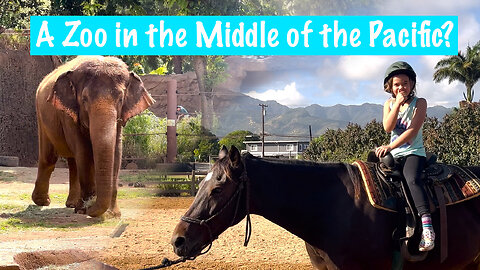 Exploring the Honolulu Zoo and going on a Pony Ride