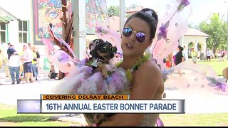 16th annual 'Easter Bonnet Pet Parade' held in Delray Beach