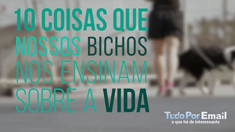 Estes Meus Bichinhos me Ensinam Muito Sobre a Vida!