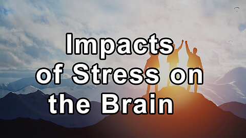 Impacts of Stress on the Brain and the Power of Mindfulness - Beth Frates, MD