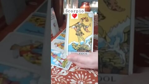 Scorpio ♥️ They Feel Like A Fool Scorpio #tarot #soulmate #tarotreading