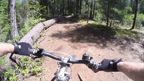 Mountain Biking the McKenzie River Trail in McKenzie Bridge, Oregon