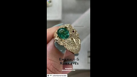 Custom dragon oval emerald and Ruby mens reptile snake personalized ring 14K yellow gold