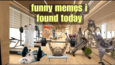 Memes i found today 😭😂 funny cat videos trending 🤣