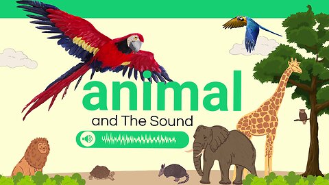 Animal and The Sound