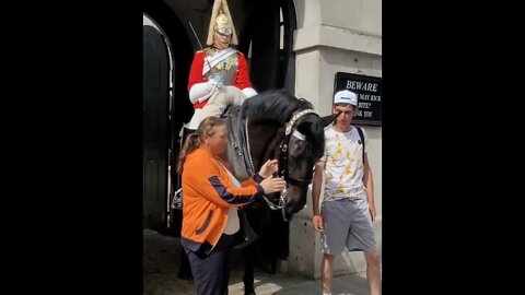 Touch the Reins yank them away #horseguardsparade