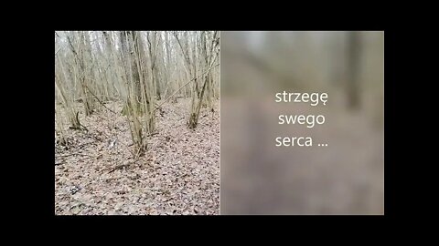 strzegę swego serca ...