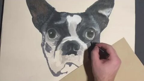 Drawing a Boston Terrier