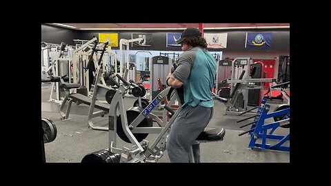 Spring Bulk Day 81 - Back